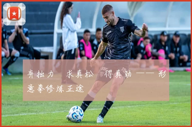 弃拙力・求真松・得真劲 —— 形意拳修炼正途