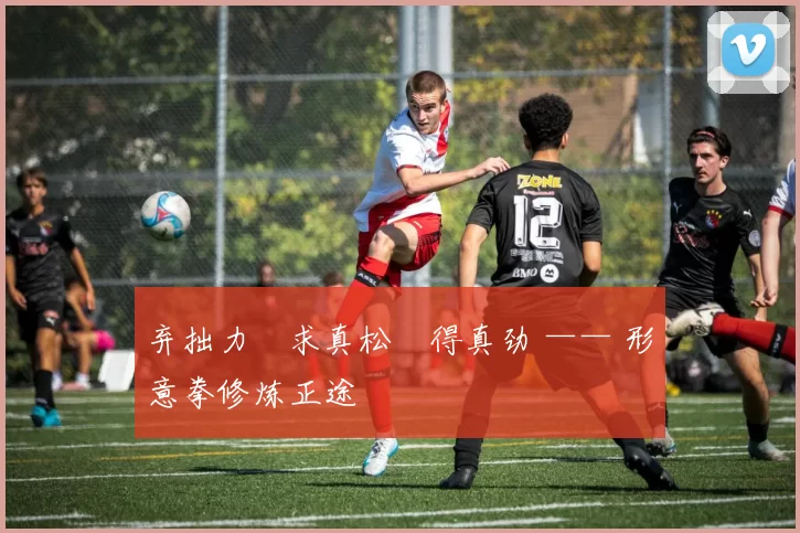 弃拙力・求真松・得真劲 —— 形意拳修炼正途