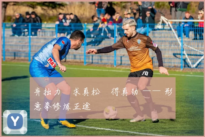 弃拙力・求真松・得真劲 —— 形意拳修炼正途