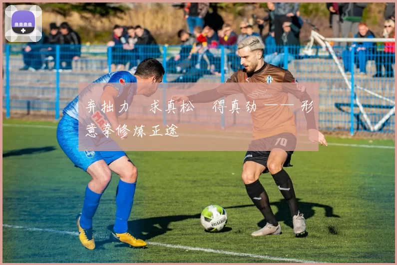 弃拙力・求真松・得真劲 —— 形意拳修炼正途