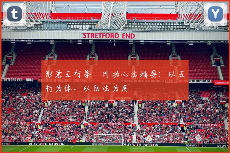 形意五行拳・内功心法精要：以五行为体，以劲法为用