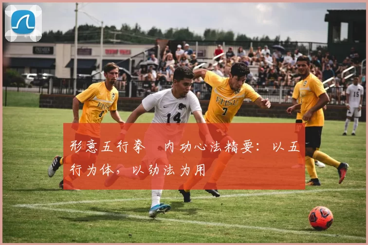 形意五行拳・内功心法精要：以五行为体，以劲法为用