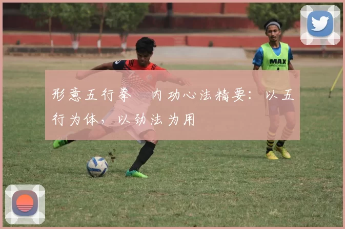 形意五行拳・内功心法精要：以五行为体，以劲法为用