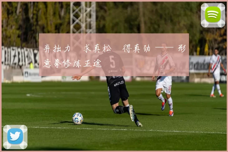 弃拙力・求真松・得真劲 —— 形意拳修炼正途