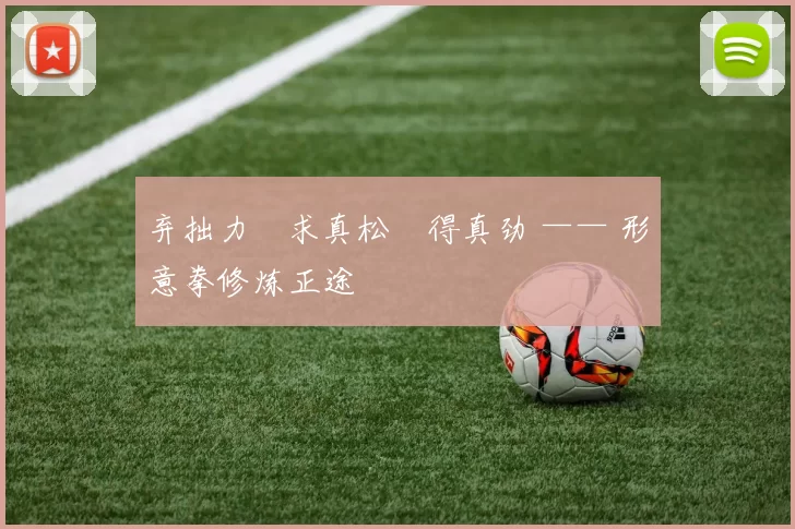 弃拙力・求真松・得真劲 —— 形意拳修炼正途