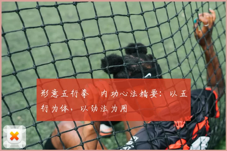 形意五行拳・内功心法精要:以五行为体,以劲法为用