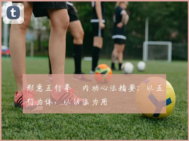 形意五行拳・内功心法精要:以五行为体,以劲法为用