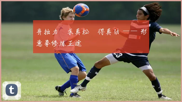 弃拙力・求真松・得真劲 —— 形意拳修炼正途