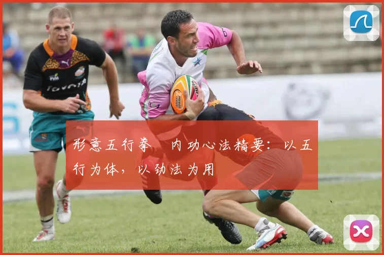 形意五行拳・内功心法精要:以五行为体,以劲法为用