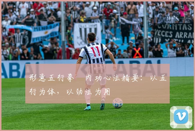 形意五行拳・内功心法精要:以五行为体,以劲法为用