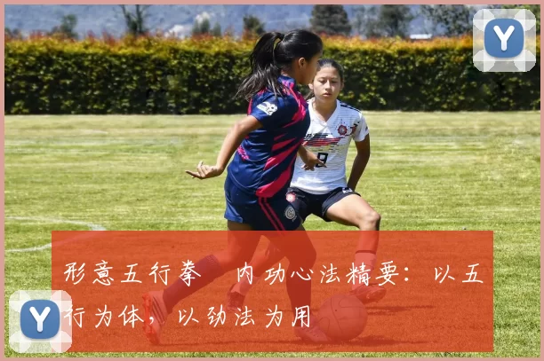 形意五行拳・内功心法精要：以五行为体，以劲法为用