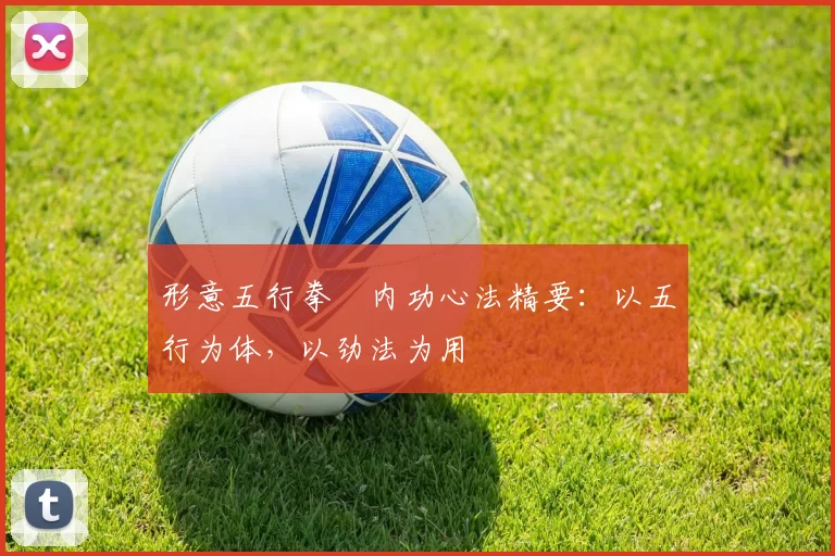 形意五行拳・内功心法精要：以五行为体，以劲法为用