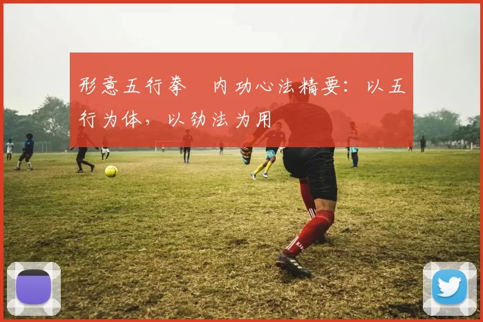 形意五行拳・内功心法精要:以五行为体,以劲法为用