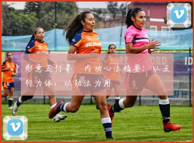 形意五行拳・内功心法精要:以五行为体,以劲法为用