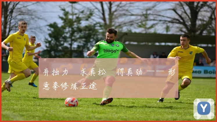 弃拙力・求真松・得真劲 —— 形意拳修炼正途