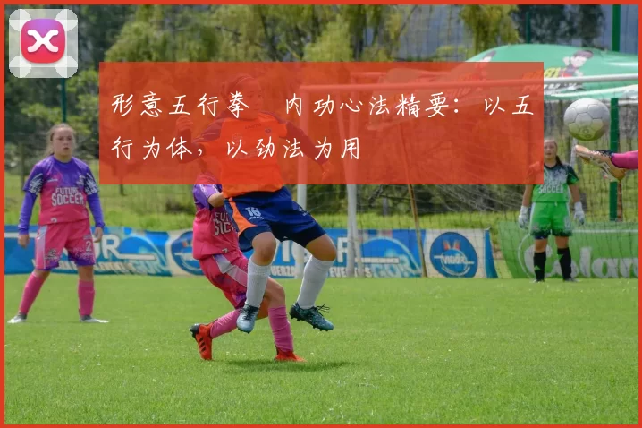 形意五行拳・内功心法精要：以五行为体，以劲法为用