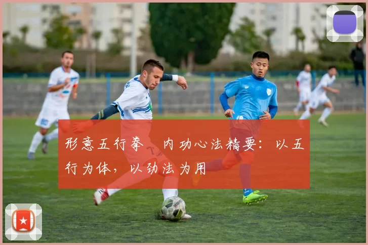 形意五行拳・内功心法精要：以五行为体，以劲法为用