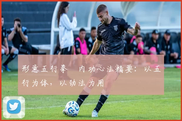 形意五行拳・内功心法精要：以五行为体，以劲法为用