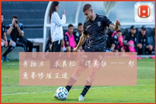 弃拙力・求真松・得真劲 —— 形意拳修炼正途