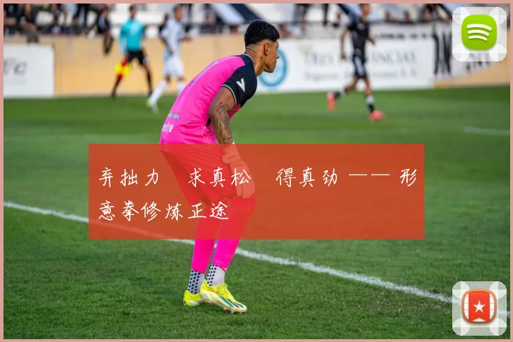 弃拙力・求真松・得真劲 —— 形意拳修炼正途