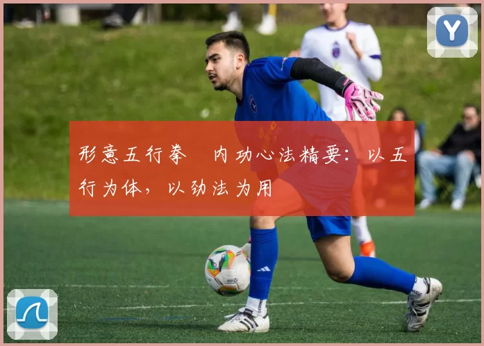 形意五行拳・内功心法精要：以五行为体，以劲法为用