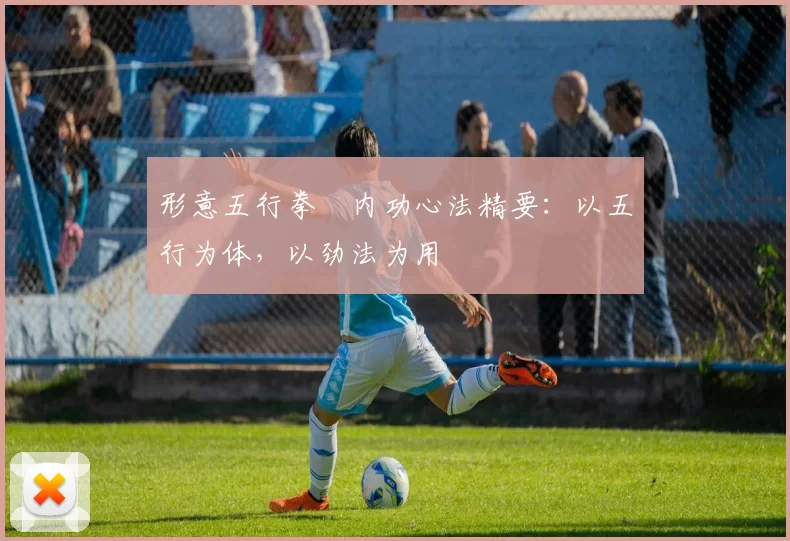 形意五行拳・内功心法精要：以五行为体，以劲法为用