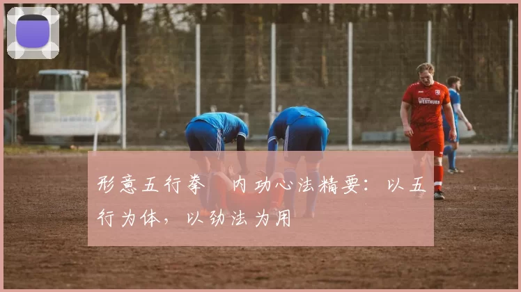 形意五行拳・内功心法精要：以五行为体，以劲法为用