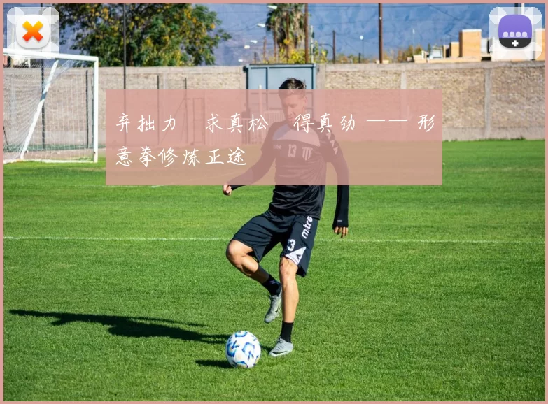 弃拙力・求真松・得真劲 —— 形意拳修炼正途