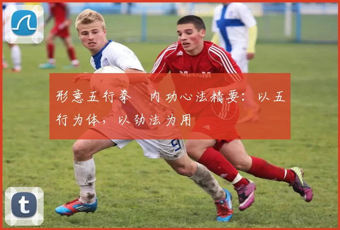 形意五行拳・内功心法精要：以五行为体，以劲法为用