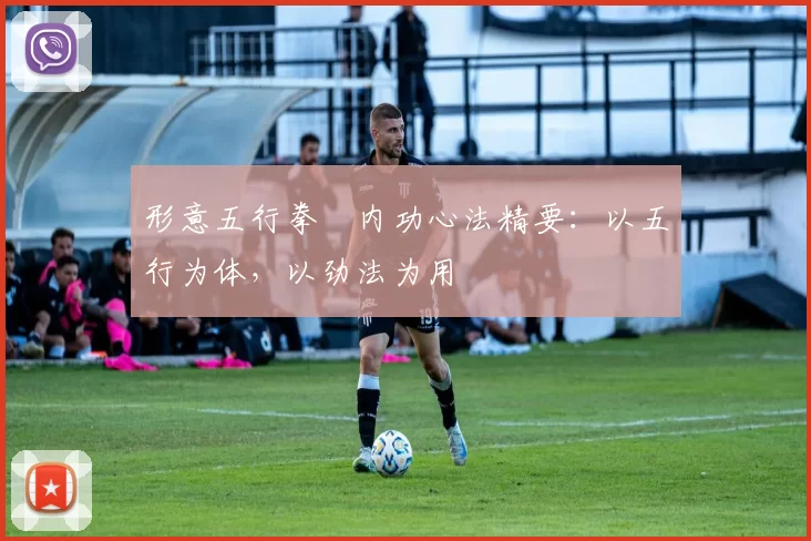 形意五行拳・内功心法精要：以五行为体，以劲法为用