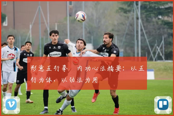 形意五行拳・内功心法精要：以五行为体，以劲法为用