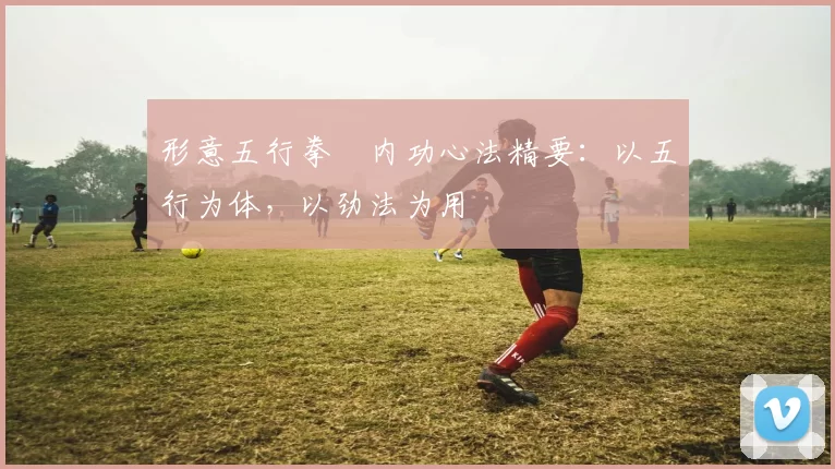 形意五行拳・内功心法精要:以五行为体,以劲法为用