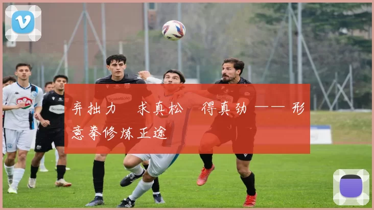 弃拙力・求真松・得真劲 —— 形意拳修炼正途