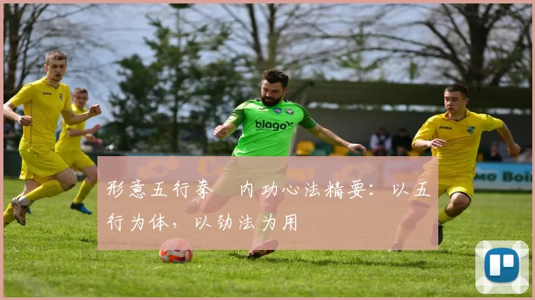 形意五行拳・内功心法精要:以五行为体,以劲法为用