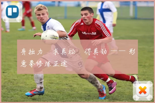 弃拙力・求真松・得真劲 —— 形意拳修炼正途