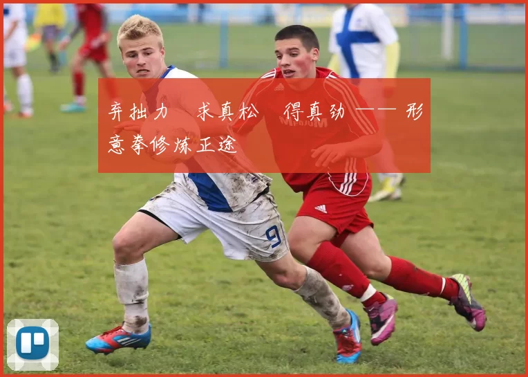 弃拙力・求真松・得真劲 —— 形意拳修炼正途