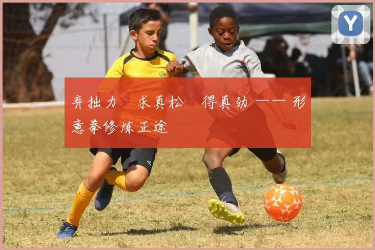 弃拙力・求真松・得真劲 —— 形意拳修炼正途