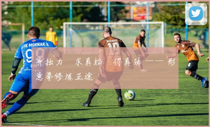 弃拙力・求真松・得真劲 —— 形意拳修炼正途