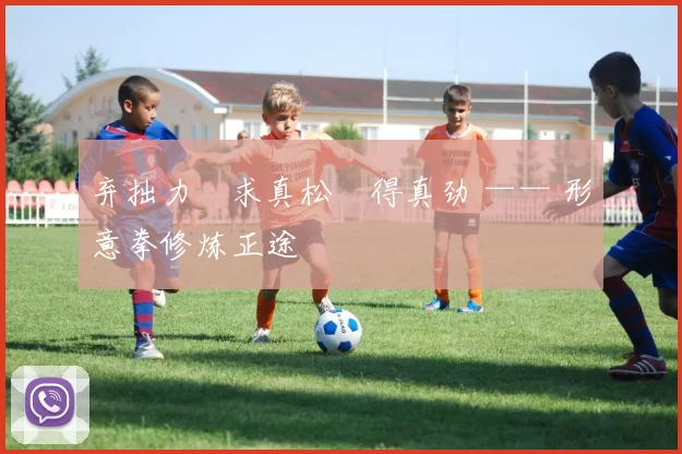 弃拙力・求真松・得真劲 —— 形意拳修炼正途