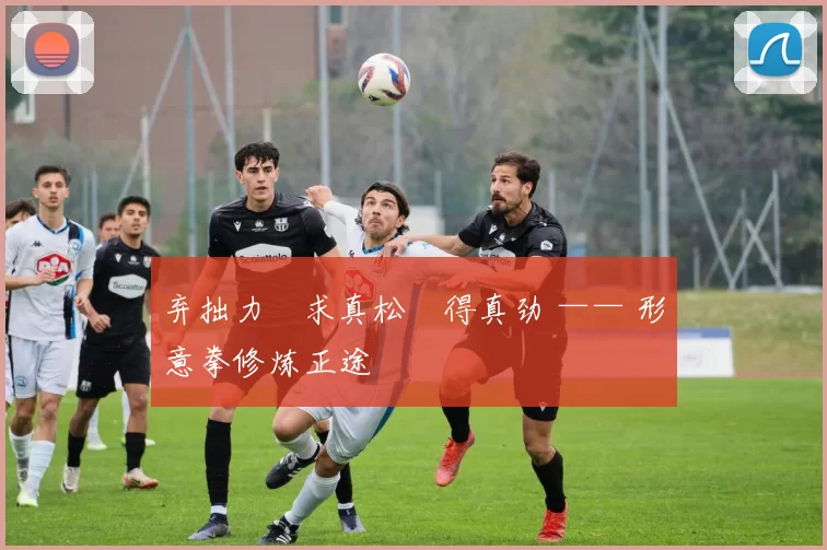 弃拙力・求真松・得真劲 —— 形意拳修炼正途