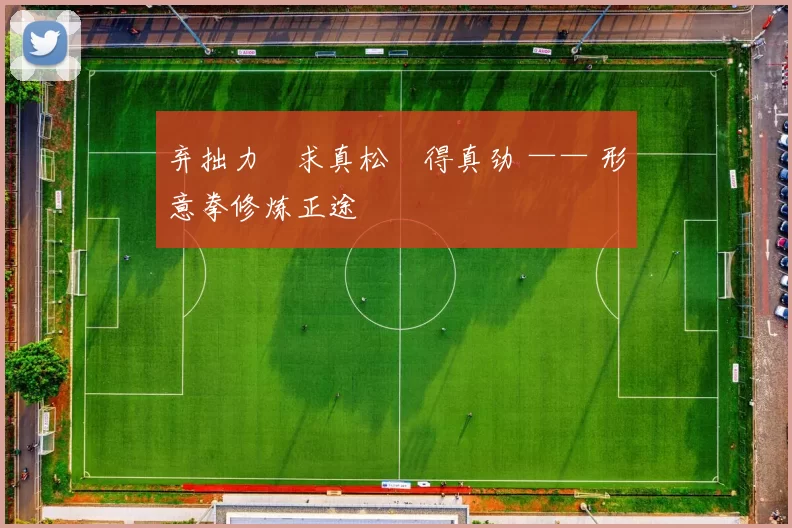 弃拙力・求真松・得真劲 —— 形意拳修炼正途