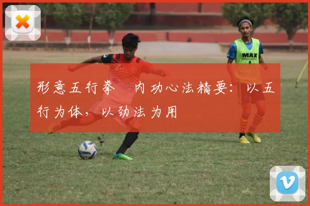 形意五行拳・内功心法精要：以五行为体，以劲法为用