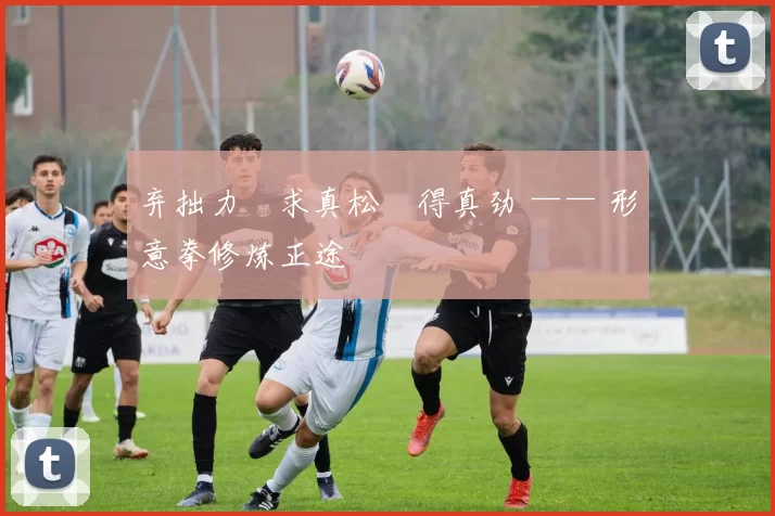 弃拙力・求真松・得真劲 —— 形意拳修炼正途