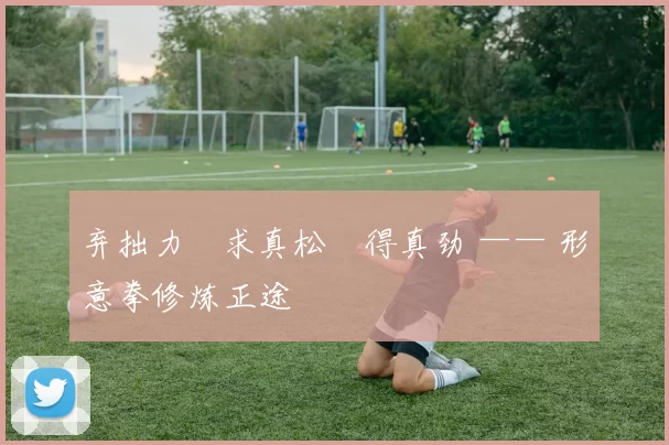 弃拙力・求真松・得真劲 —— 形意拳修炼正途