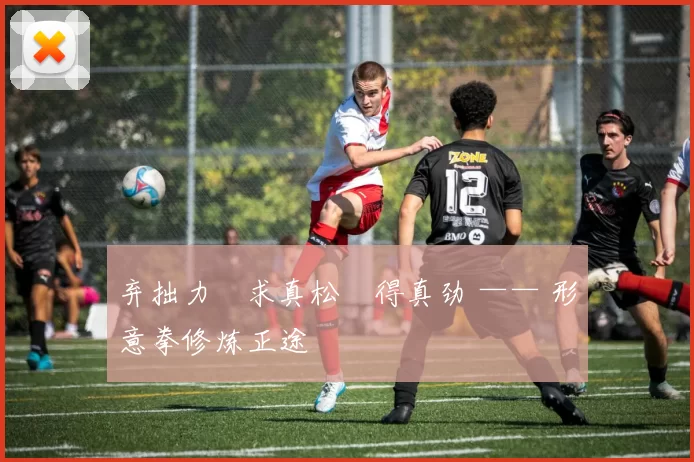 弃拙力・求真松・得真劲 —— 形意拳修炼正途