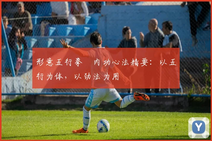 形意五行拳・内功心法精要：以五行为体，以劲法为用