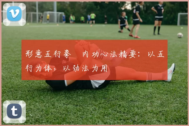 形意五行拳・内功心法精要：以五行为体，以劲法为用