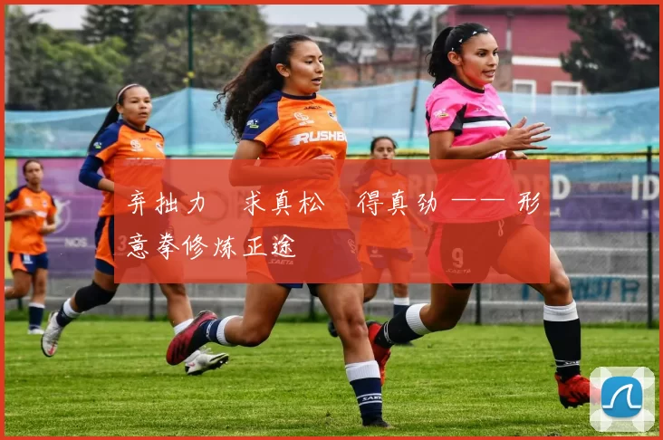 弃拙力・求真松・得真劲 —— 形意拳修炼正途