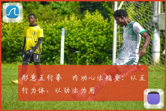 形意五行拳・内功心法精要：以五行为体，以劲法为用