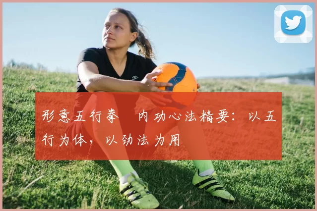 形意五行拳・内功心法精要:以五行为体,以劲法为用